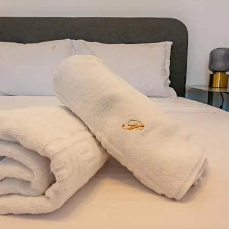 Apartment Near Unirii Square & Old Town *