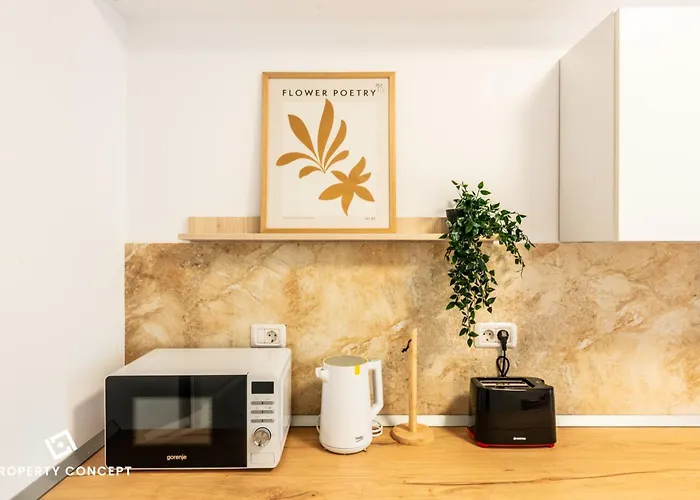 Near Unirii Square & Old Town 公寓 *